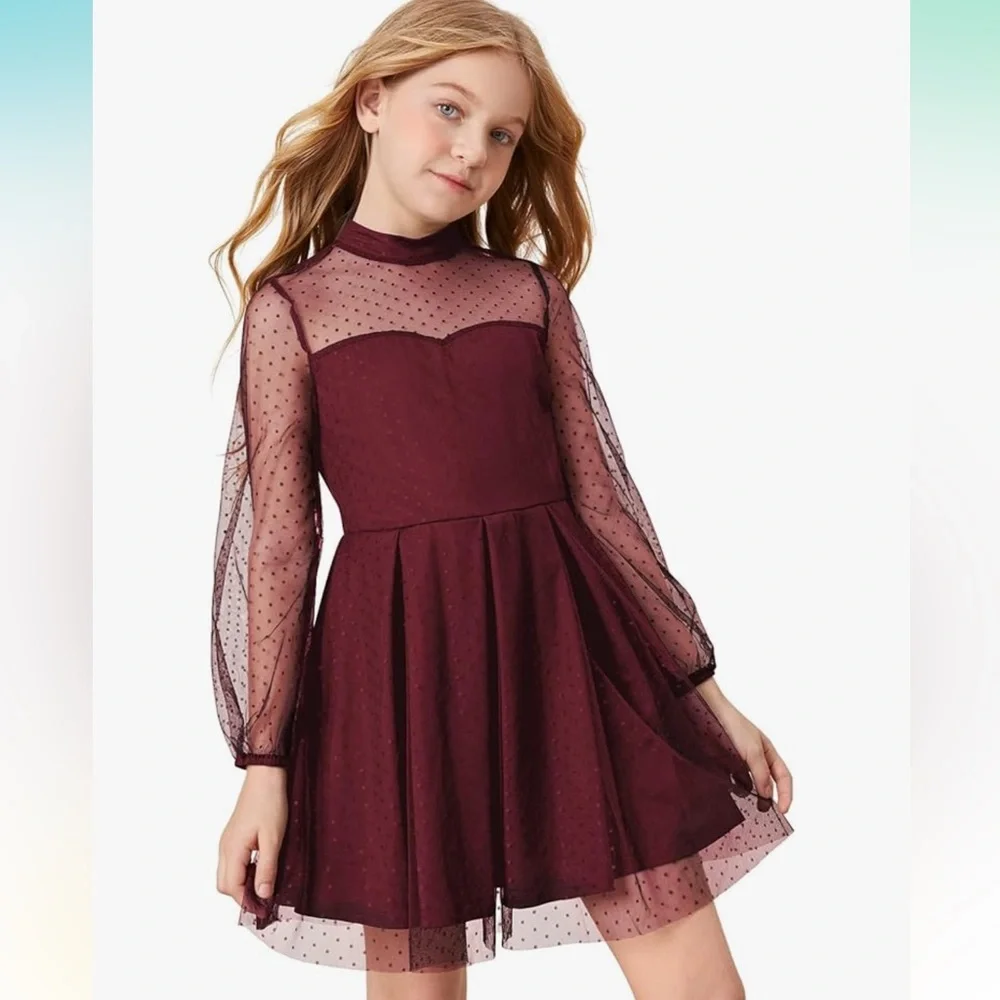 Girls Burgundy Sheer Mesh A-line Dress.